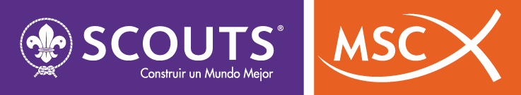 Scouts MSC